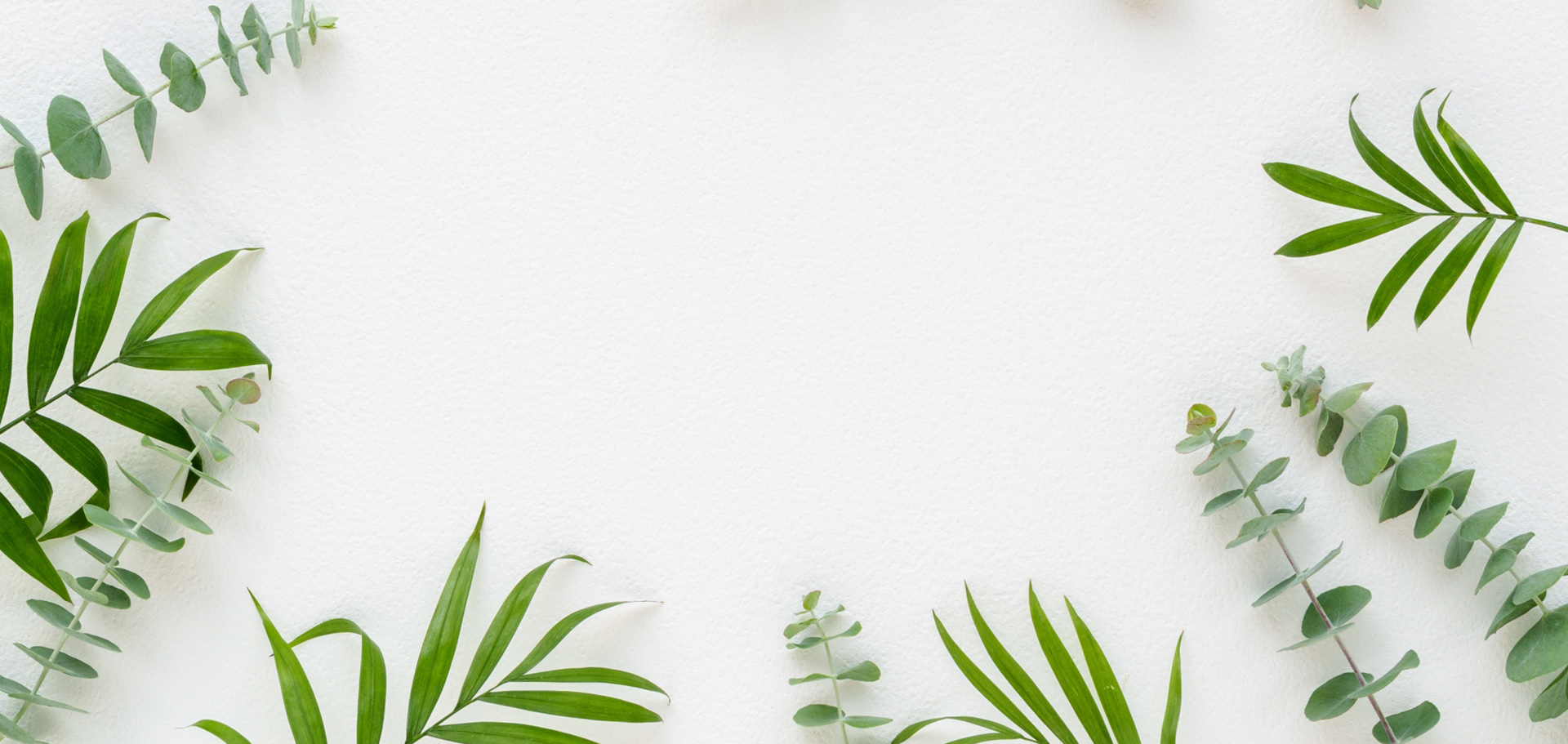 松前再エネ電力株式会社 イメージ画像