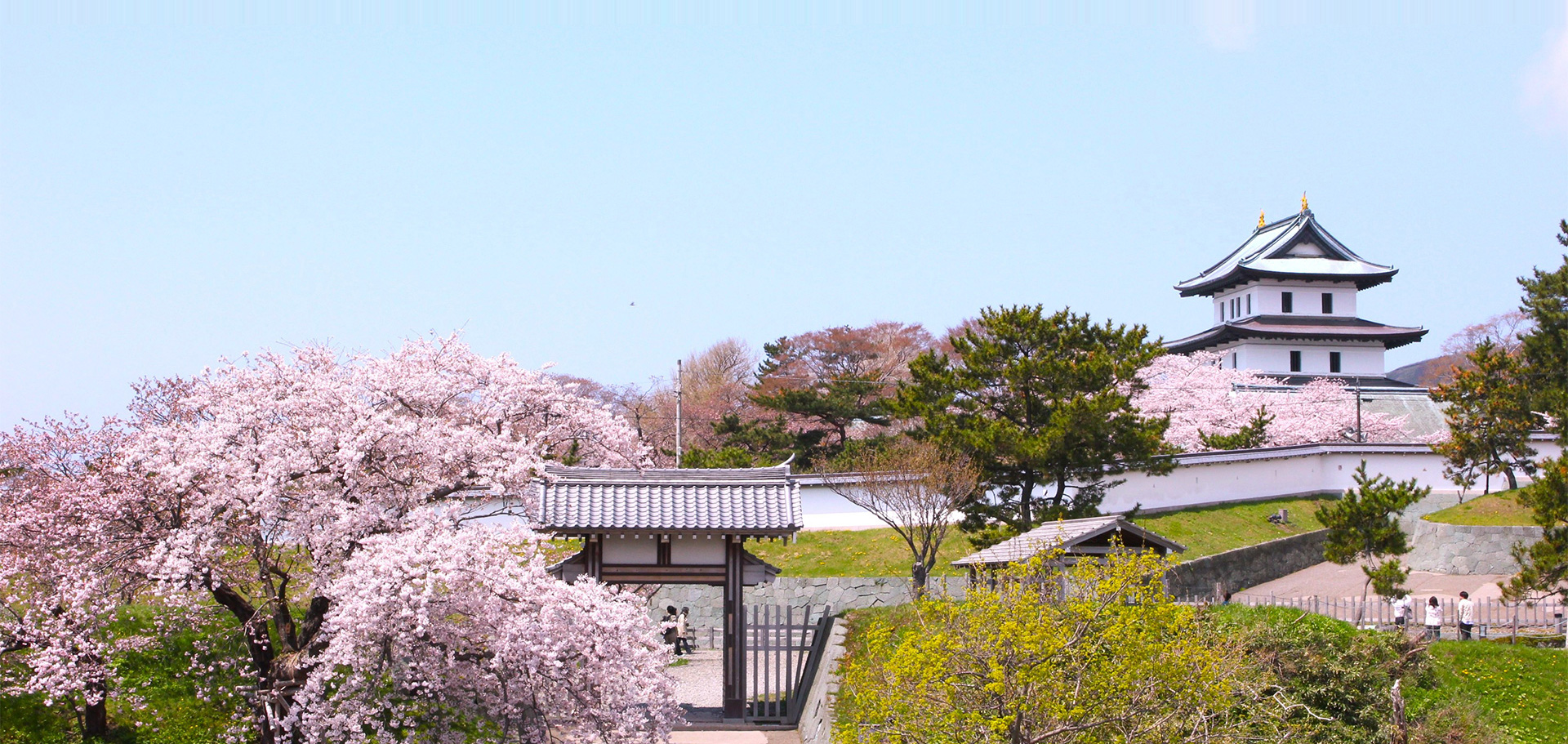 松前再エネ電力株式会社 イメージ画像